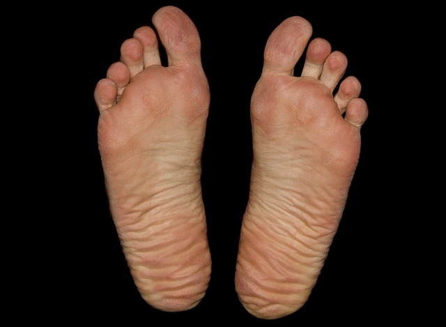 feet-1291554_640