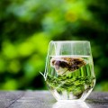 tè verde in forma